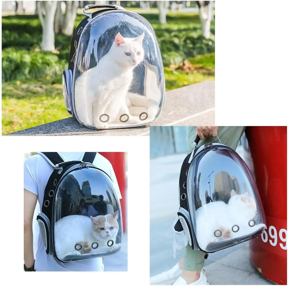 Mochila de transporte